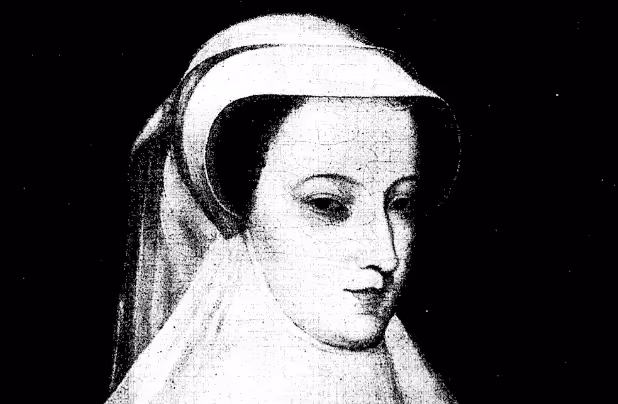 信息黑暗森林1：断头女王(上)